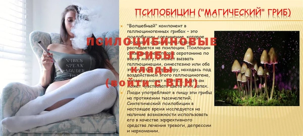 гидропоника Няндома