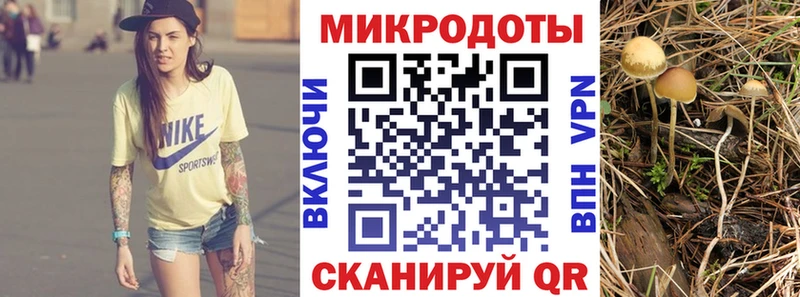 Галлюциногенные грибы Cubensis  мега онион  Борисоглебск 