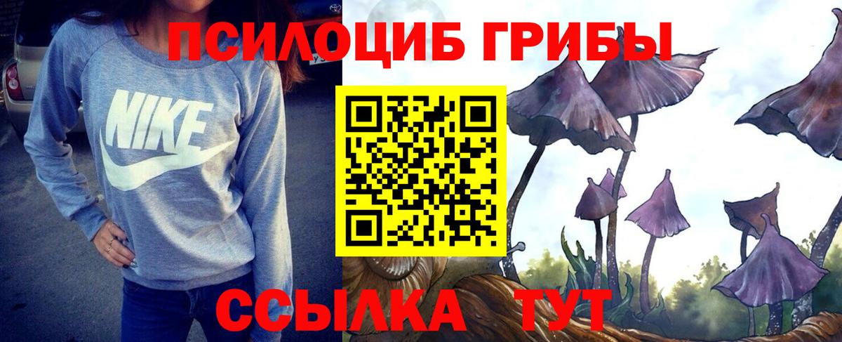 Псилоцибиновые грибы мухоморы  Псилоцибиновые грибы ЛСД  Вход с VPN  что такое наркотик  Борисоглебск 
